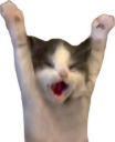 HELP emote